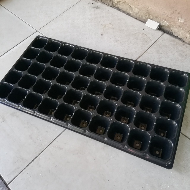 Khay ươm 50 lỗ - Ảnh 1